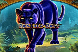 Playtech : Panther Pays - MOTO128