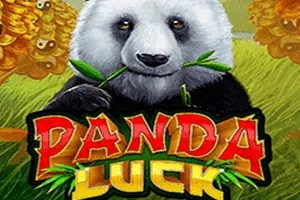 Playtech : Panda Luck - MOTO128