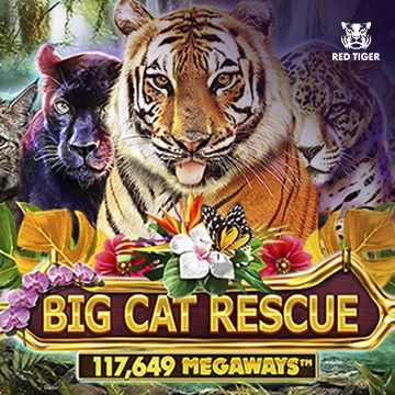 Redtiger : Big Cat Rescue Megaways - MOTO128