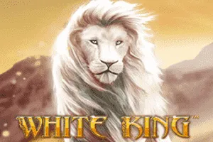 Playtech : White King - MOTO128