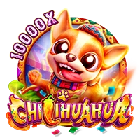 Facai : CHILIHUAHUA - MOTO128
