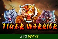 Spadegaming : Tiger Warrior - MOTO128