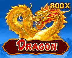 Dragon - MOTO128